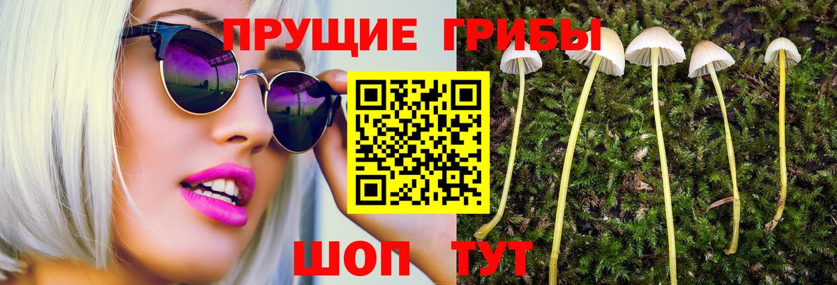 Ноябрьск  Псилоцибиновые грибы мухоморы  Вход с VPN 